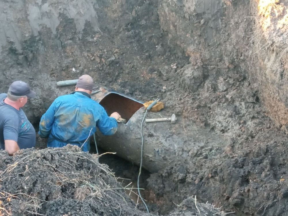 ����������� "�����������" ��������� ������ �� ������������ ������������� ��������