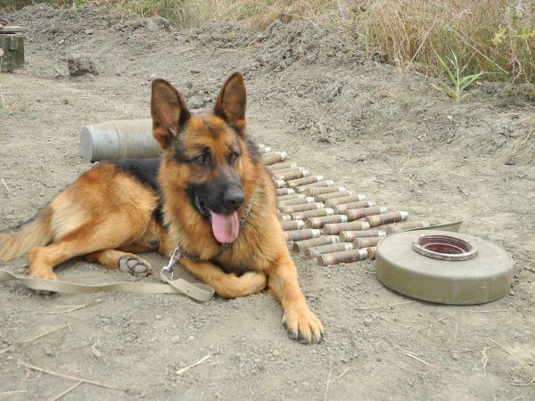 ����� 2,5 ����� ������������� ��������� ���������� � ��� � ������ ����