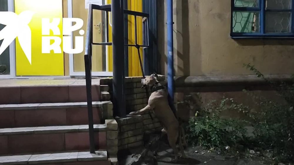 - ������, ������!. - ����� ���� ����, ����� ������������� ��� ��������