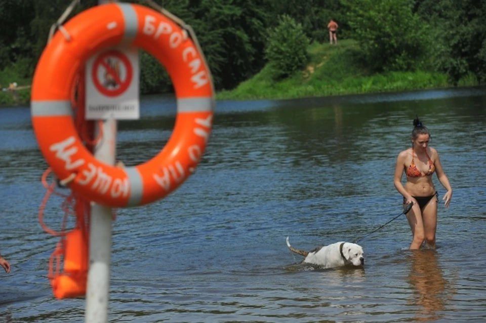 ��� �������� ������� � ��� �� ������� ������