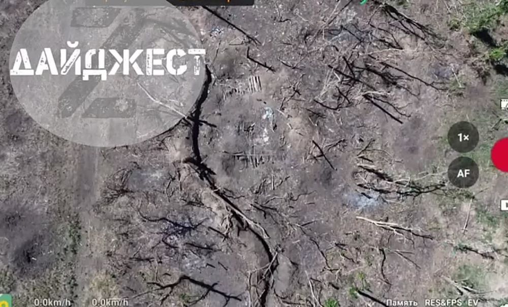 � ��� �������! �������!� - ���������� �po� ����� �������� ����