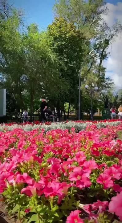 ������ ���� �������: � ��������� ��������