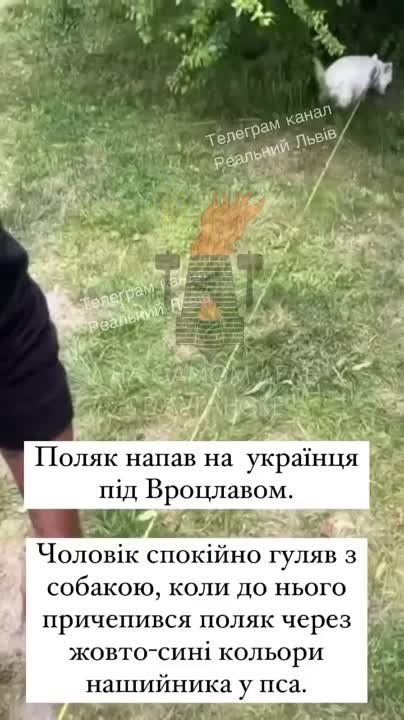 ��� ������ ���� �� ������, �����!�: � ������ ������� �������� �������� ��-�� �����-�������� �������� �� ��� ������