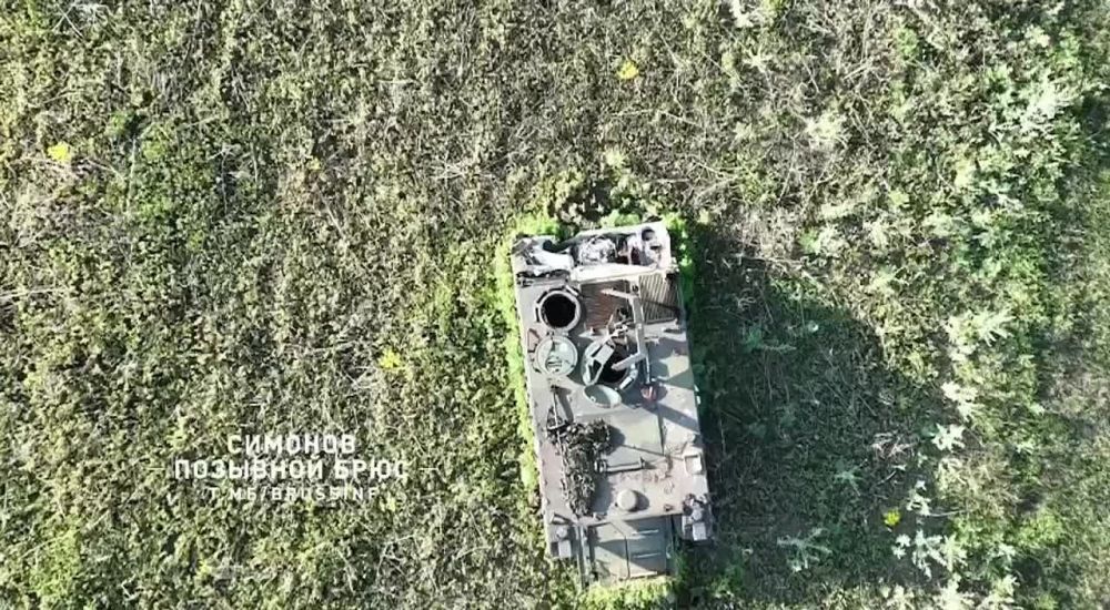 ���������� 1-� ����������� �������� ����� ����������� ������� � �������� ��� �������� ��������� ������������ ��� �113 �� ��������� �����������