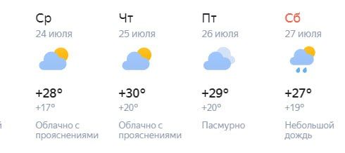 ���� � �������� ������ �� ����