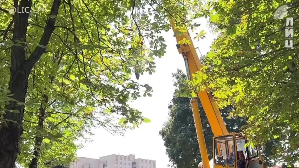 ��������� ��� ��������� ����� ������������� ��� ����� ��������� ������������� ��� � ��������� � � ���������� ������ �������� ������ �������� ���������� ��������� � �������� ����������