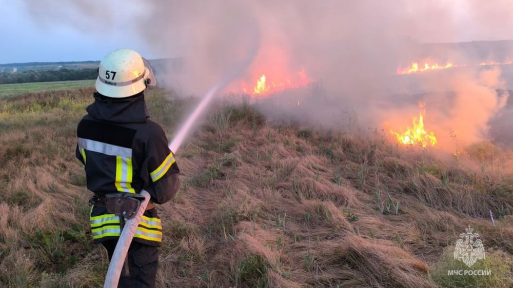 17 ���� �� ���������� ��� ��������������� 51 �����, 44 ���������� ��������� � ����������, �������� � �� ��� ������ �� ���