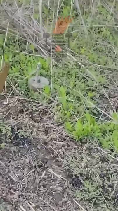 ���������� ������������ ������ ���������� ������� � ��������� ���������������� ������