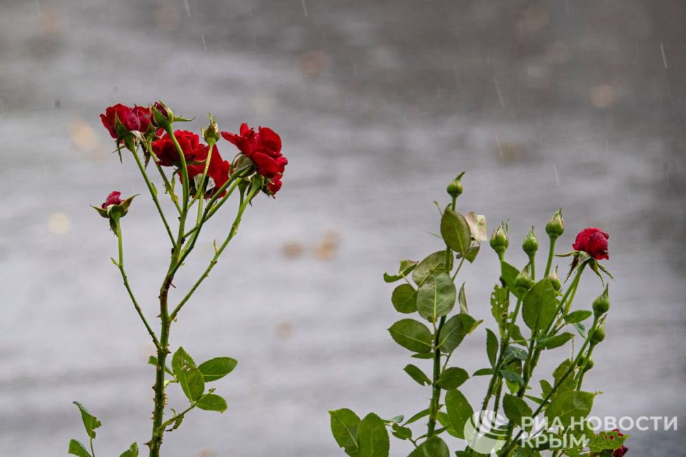 ������ �� ����� ����������� ������