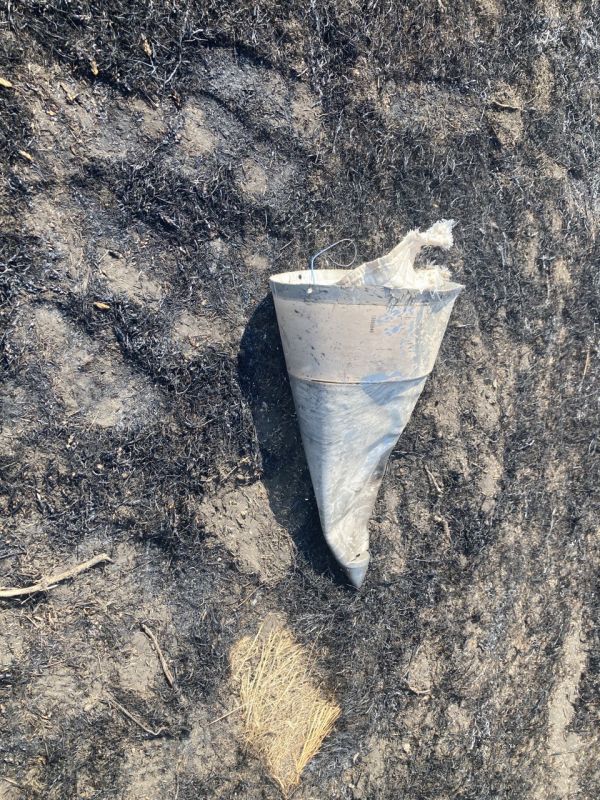 19 ���� 2024 ���� ����� ������� ����� ��������� �������� ����� ���������� �������������