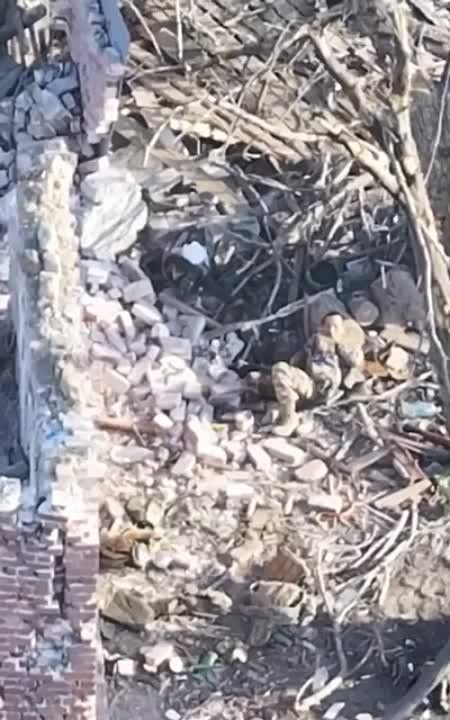 ������� ��� ���� �������������, ���� ��� FPV-����