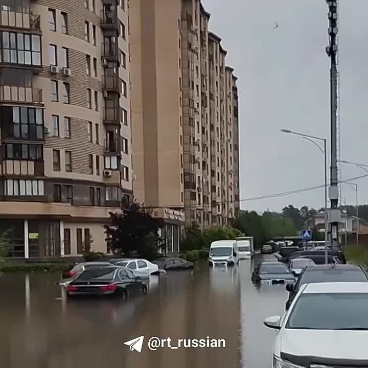 ������� �������, ������ �������. ��������� ��������