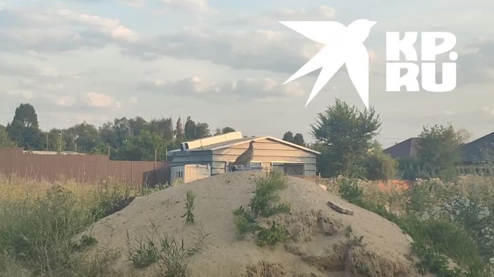 ����������� ���-�� ��� � �������� ����� � ������