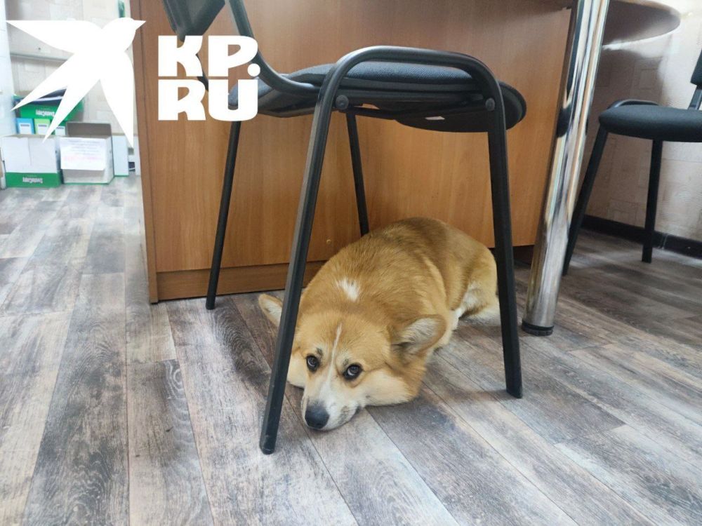 ������ ���������. ����� ������ � �������� �� ������ � �� ������, ����� �������