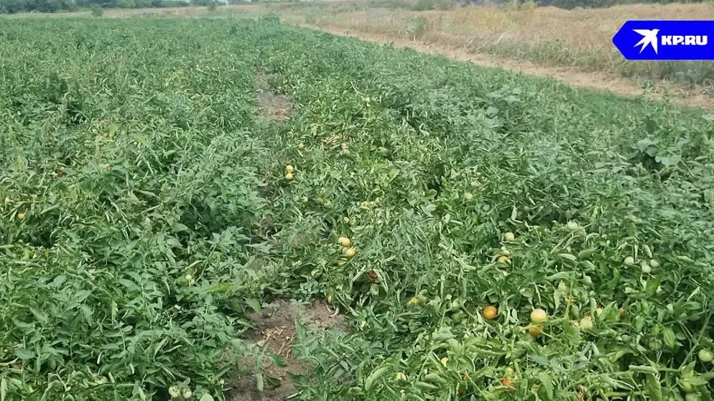 ������� ��� ������ �������� ����� ������������� �� ���