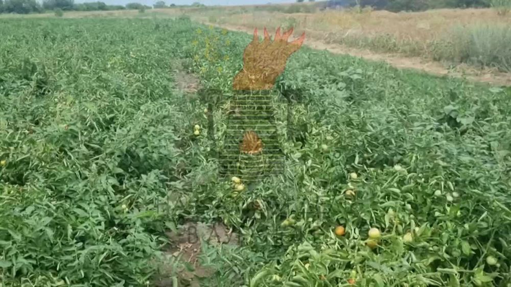 ������� ���� ���������� ������ ����������� ���� ����� � ���� � ���������