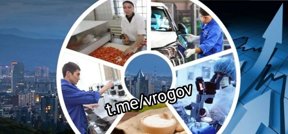 Владимир Рогов: Свыше 670 млн рублей для МСП Новороссии