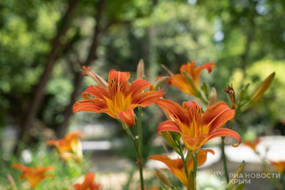 ������ �� ����� ����������� ������