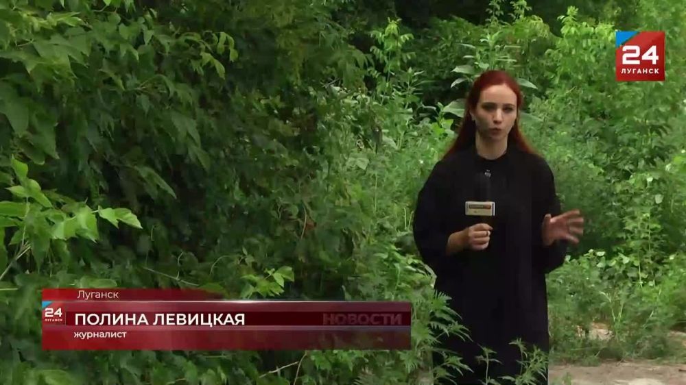 ��������� ����� ����� ������ ������� ������� ���� ����������� �������� ������-�������� ���������� ������������ ���