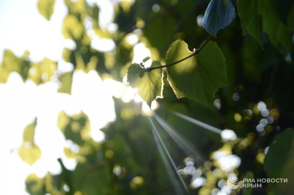 ������ �� ����� ����������� ������