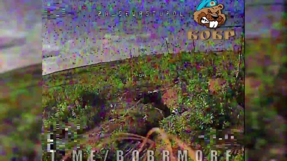 ����� ���� �������� ������ �� ����������� ���������� ������: ��� ��� ����� �� ������ FPV-������