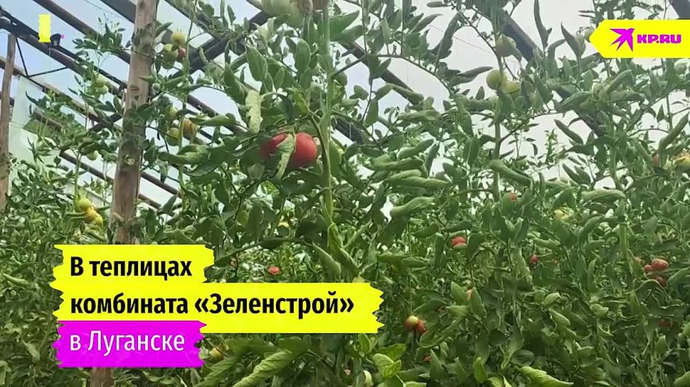 ��������� �������� ���������� ������� ������������ ������ � ������ ������