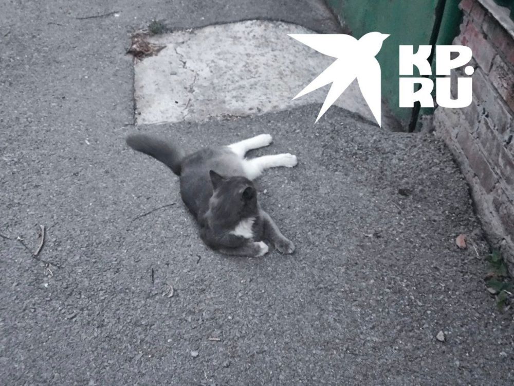 ��� ���� � ���� ������. ������������ �� @kp_lnr