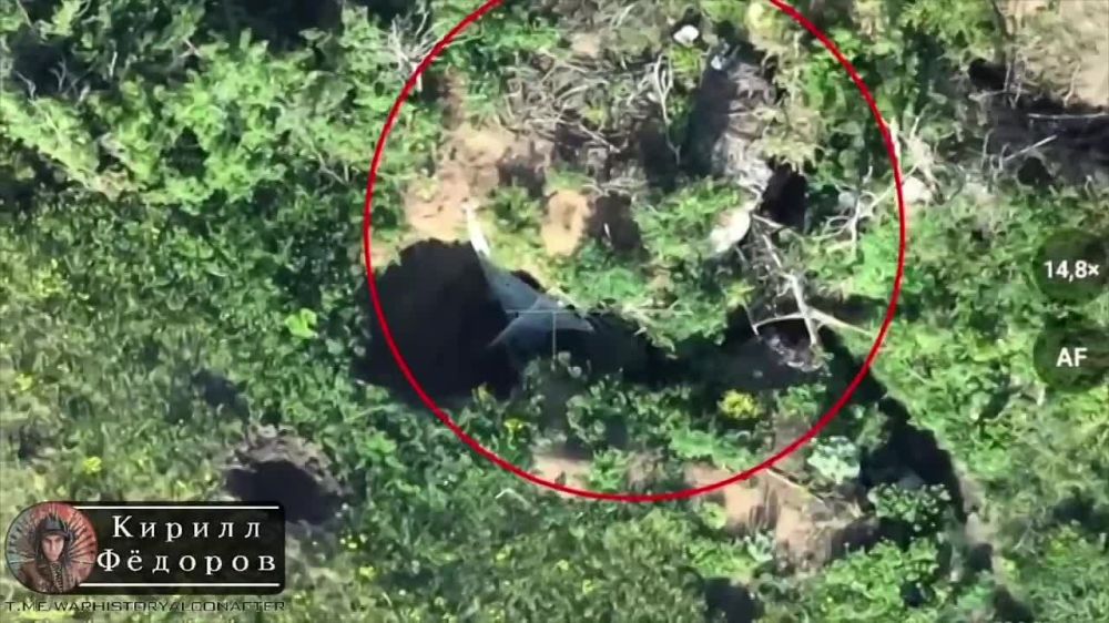 ������ ������ ������!. ����, ���� �� ������ � ����� � ��� ��� � ����! ��������� ����������