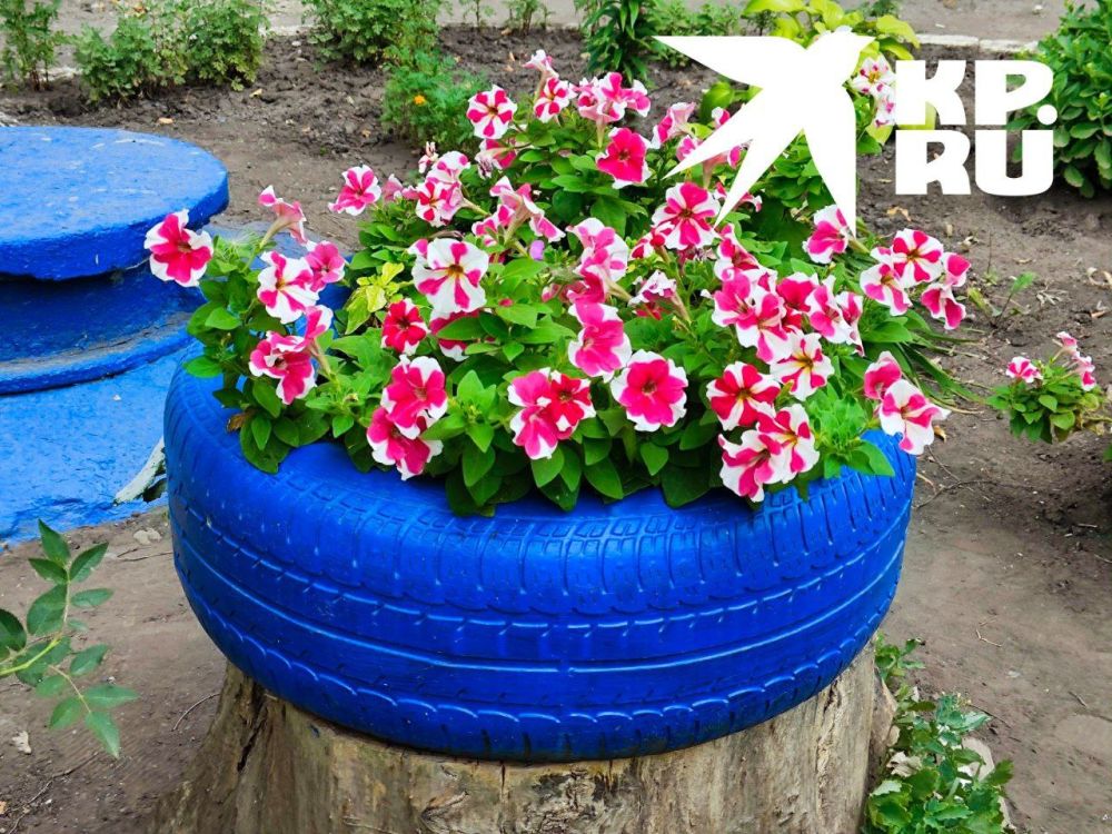 ������� �� � ��� �� �����