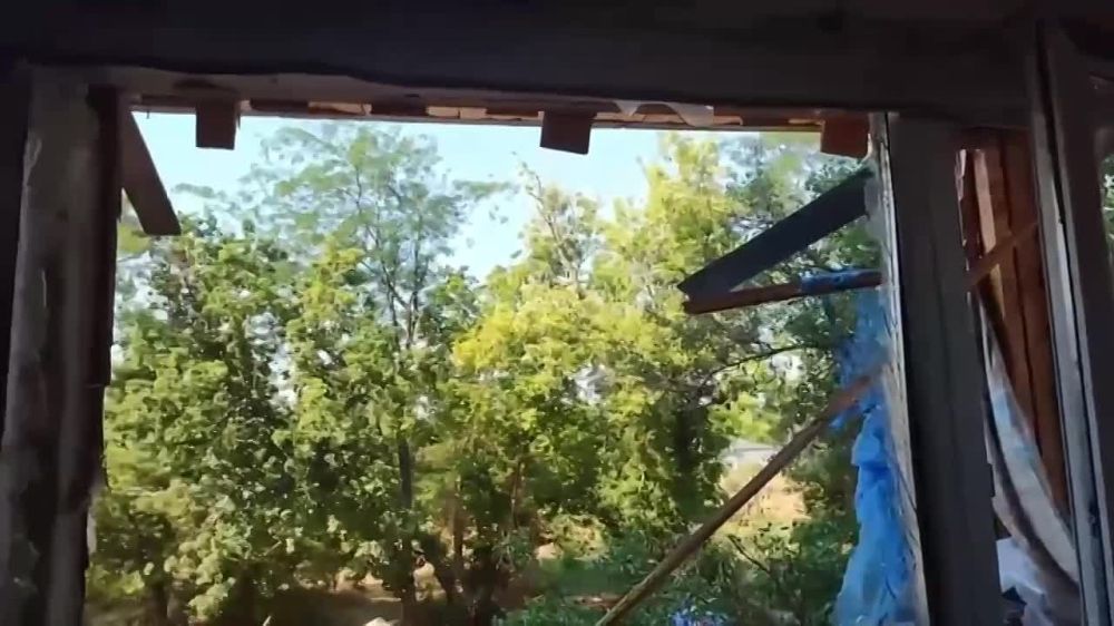 ���������� ���� �������� �������� ����������� � ����������, ������� ������