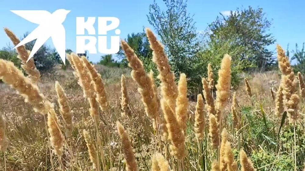 ���������� ���� � ������ ����������