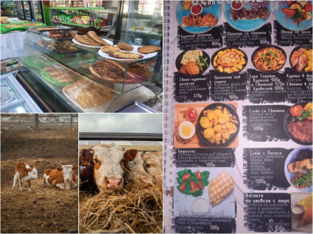 � ������ 2024 ���� ���������� ����������������� �� ��� ���� ��������� ����� 650 ����������-��������� � ���������������� ����������� ��� ��������������