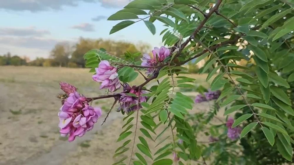 �� ����� 1 �������, � � �������� ����� �����