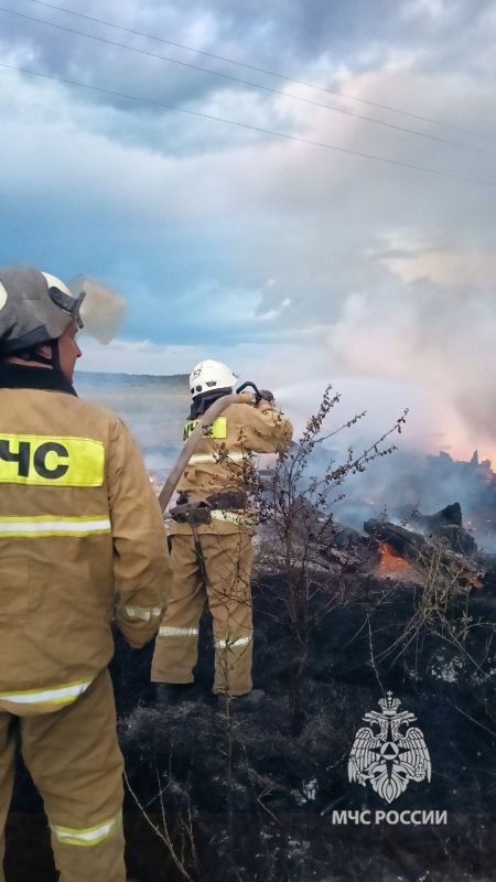 1 ������� �� ���������� ��� ������������� 55 �������, 47 �� ��� ��������� � ����������, �������� � �� ��� ������ �� ���