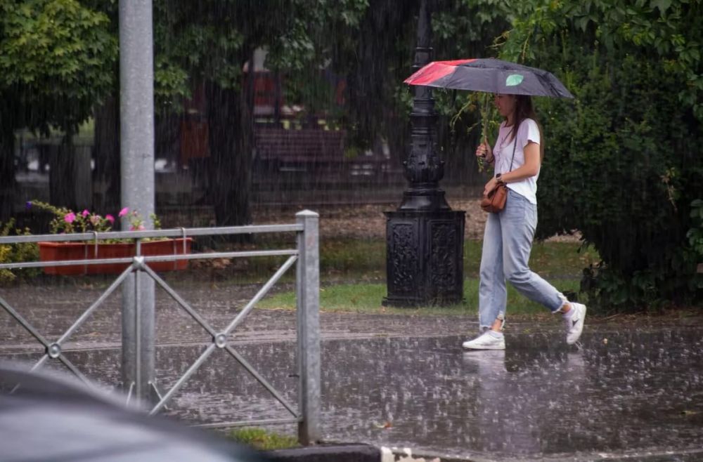 ������ �� ����� ����������� ������