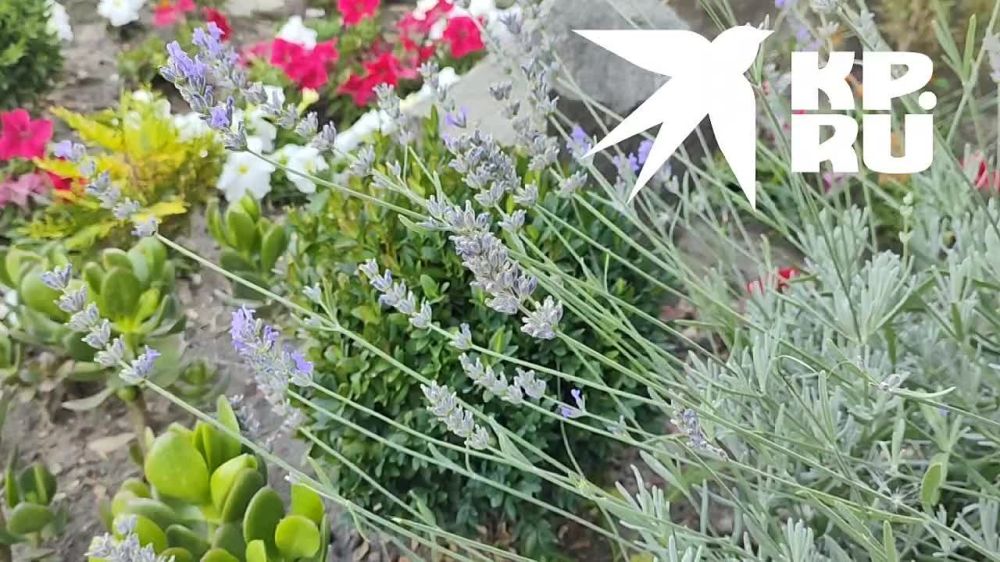 �������, ����.... � ��� � ���. ��� ������� �� ��������. ��� ������� ��������� � ����� �������