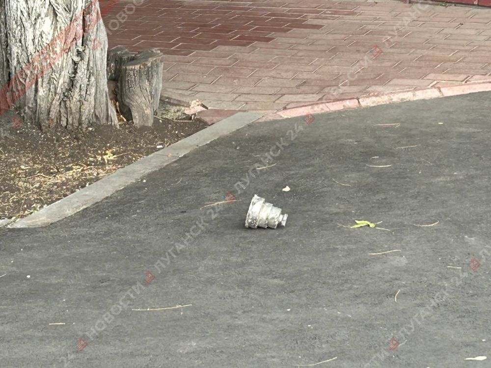 ��������� ��������� ������ �� ����� ��������