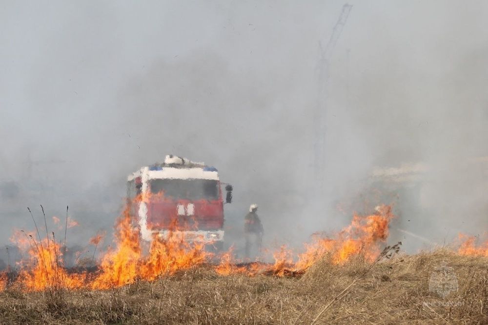 ���� ������ ��� ����� ��� ������ �� ����� 4 �������