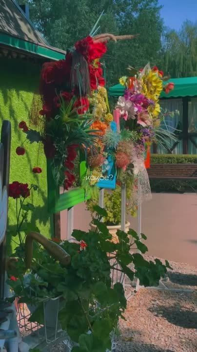 ��� �� ���-���� ����� ������� �����