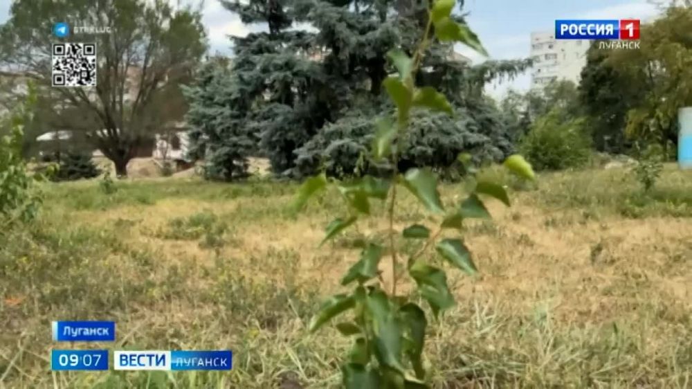 � ��������� ���� ����������� ������������� ���������� ����� �������