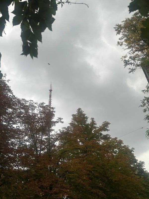 �������! ����� ������!. � ����� ������ � ������������