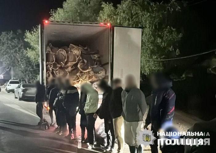 16 ���������� �������� ������� �� ������� � �������� ��� ����� ����