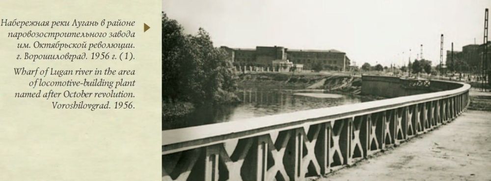 ���� ���� �� ����������