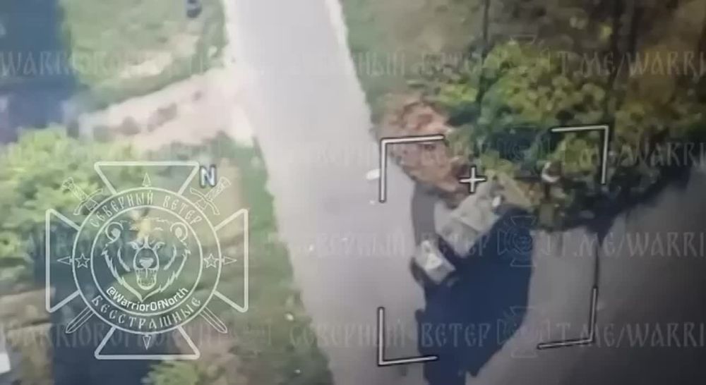 ����� ����������� ������ FPV ��������� ���������� ��� � ������ ��������