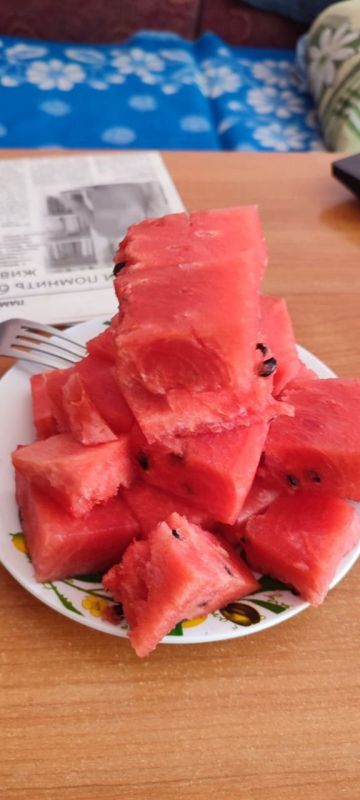 ������ - ����� ������� � ����