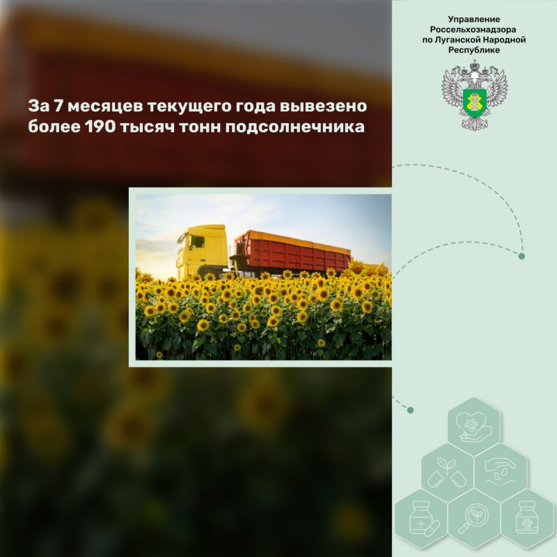 �� 7 ������� �������� ���� �������� ����� 190 ����� ���� �������������