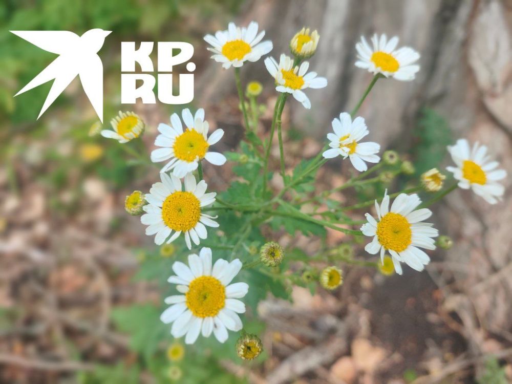 +28 ������� � ����������