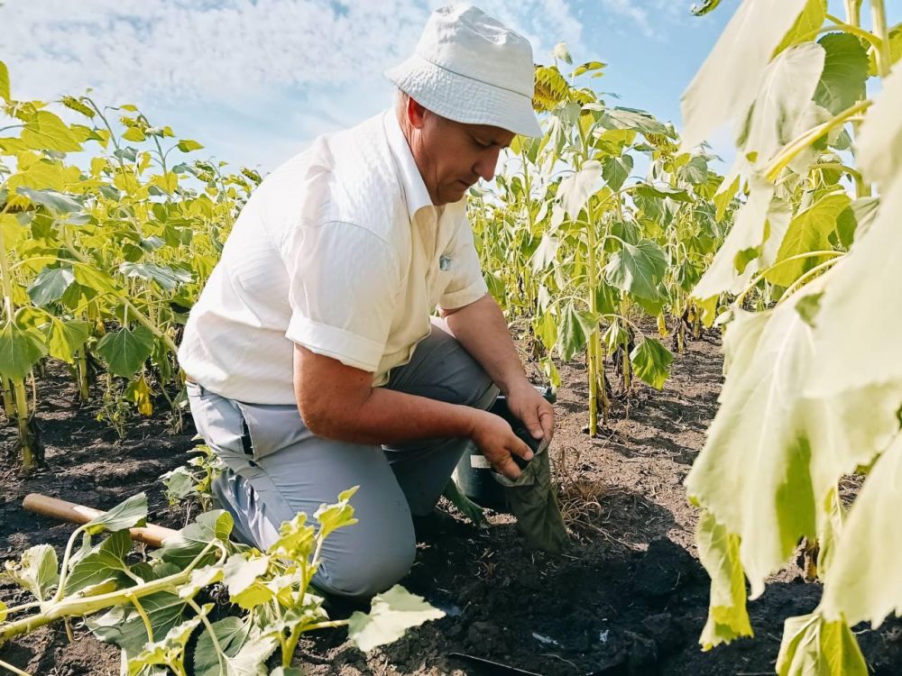 ����������� ������������������ � ��� ������� ����� ����� 1,5 ���