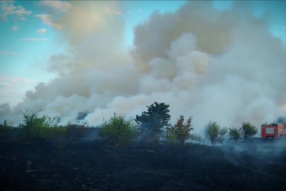 � ��� �� ����� �� ��������� ������� ���������� ������� 100 �������� ����������