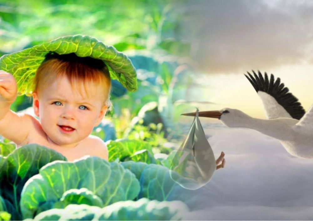  :     ,         3 370 : 1 720   1 650 